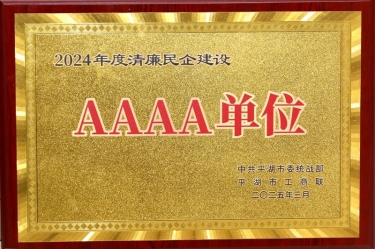 喜报！银河集团(galaxy)荣获平湖市2024年度清廉民营企业建设AAAA级单位称号